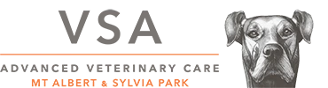 Veterinary Specialists Imaging